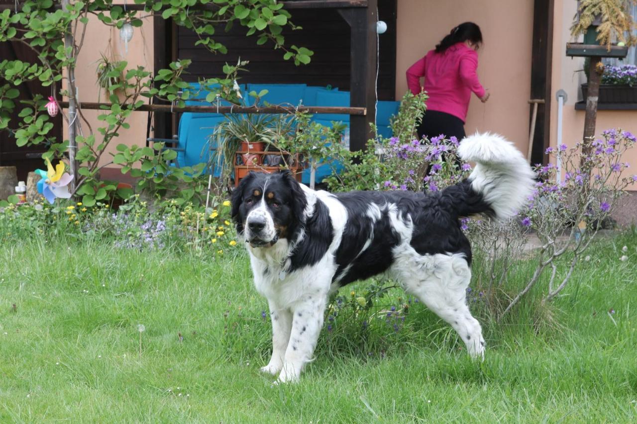 Ferienhof Hoehensonne Rathmannsdorf ภายนอก รูปภาพ